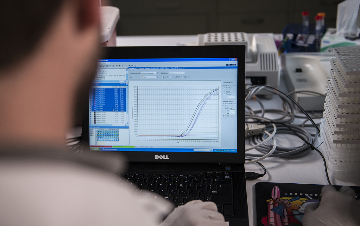 Jason Misurelli uses the Mastercycler Ep Realplex software to visualize gene amplification in real time.