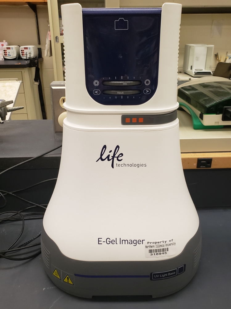 The Invitrogen Life Technologies E-Gel imager and accompanying software allows for visualization of PCR products and image editing.