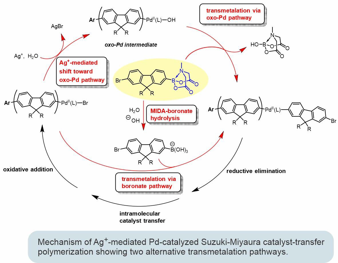 Polymer Structure