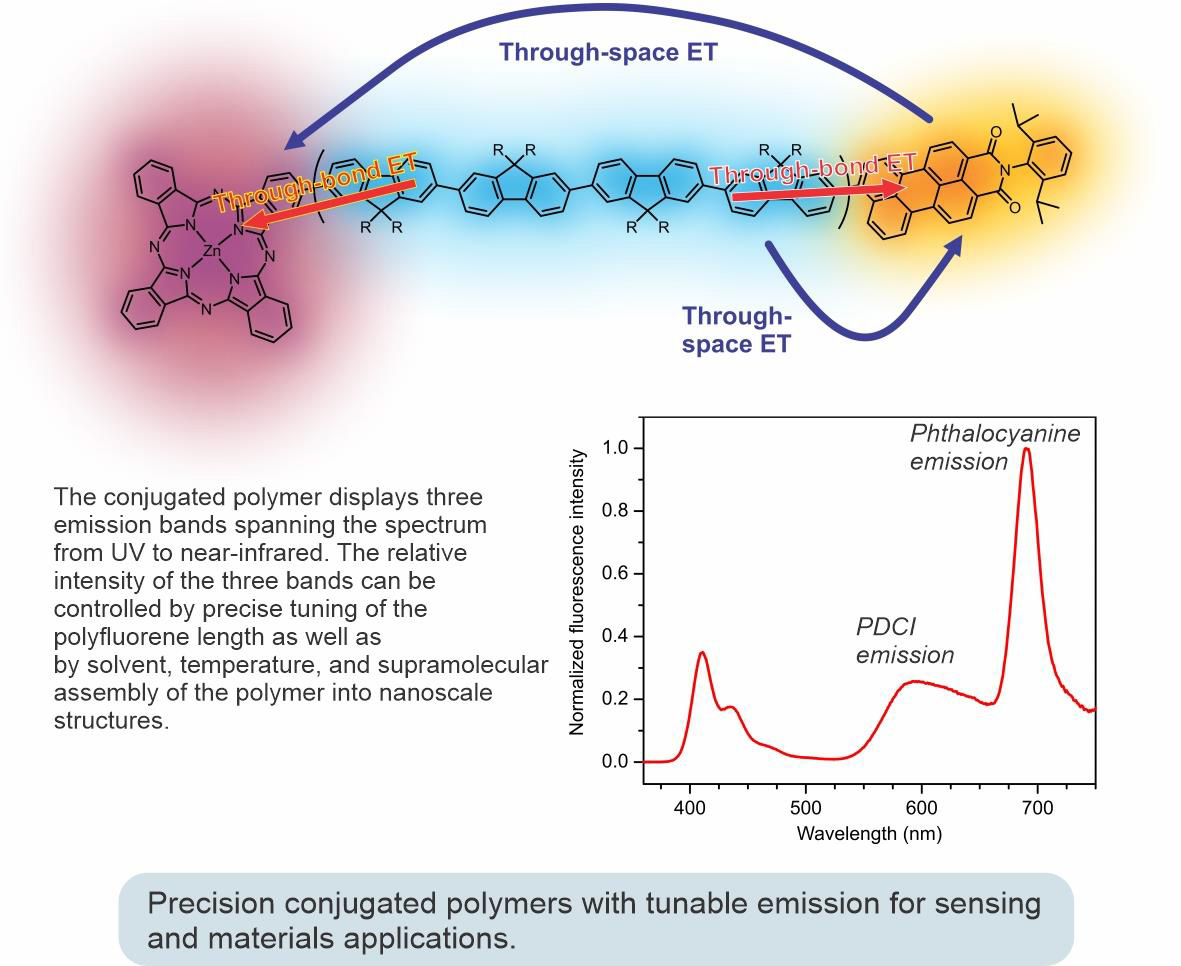 Fluorescent Chemosensor
